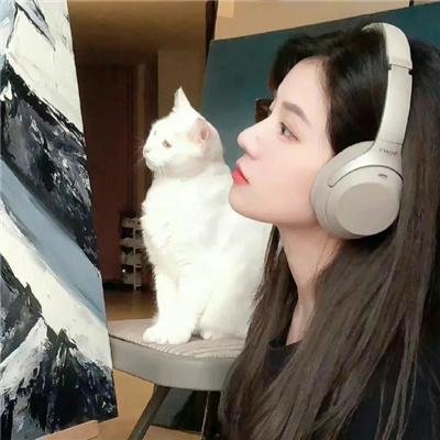 忧郁的物怪庵第二季
